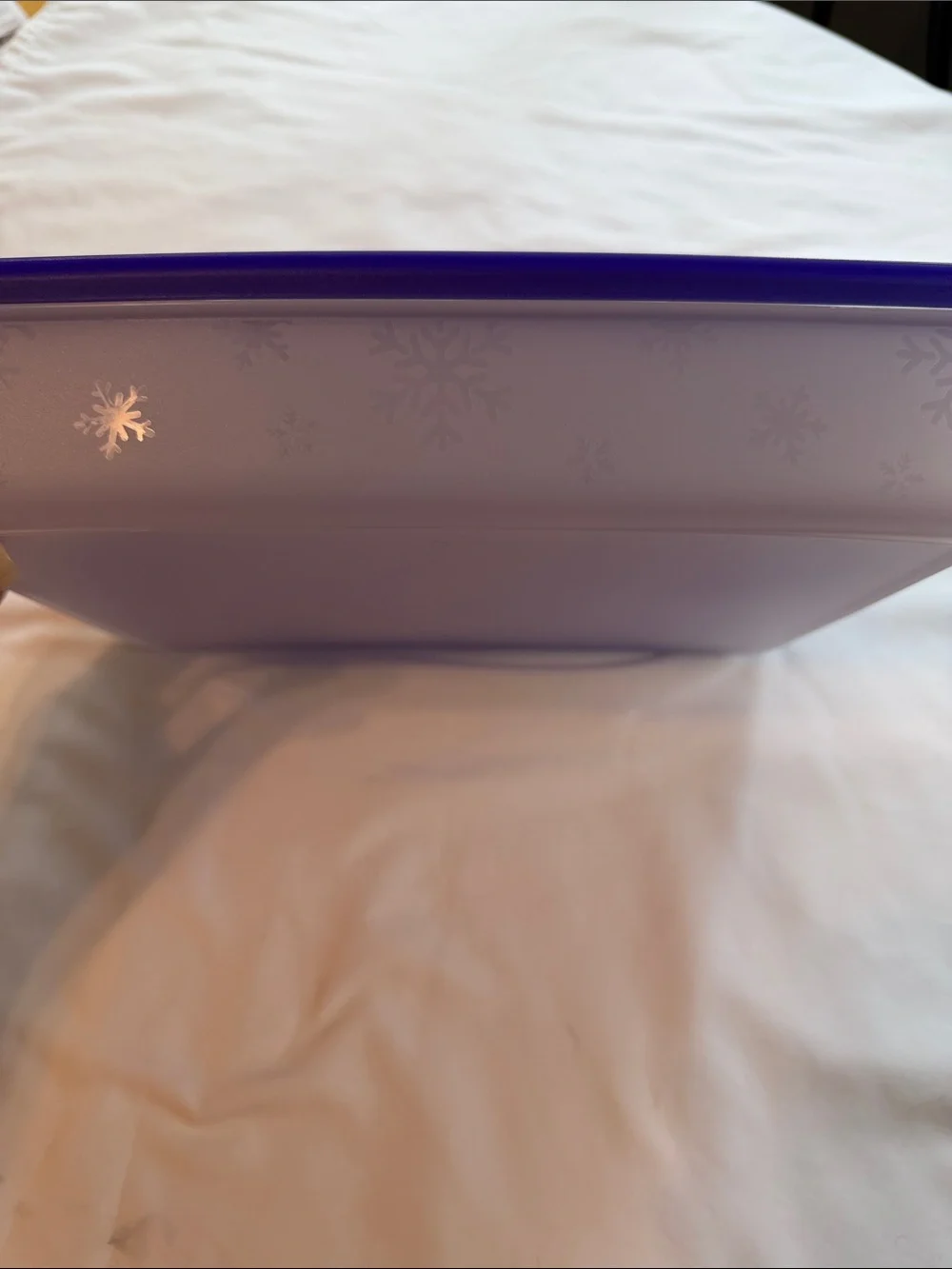 Tupperware freezer container. (Large) 9 3/4 cup